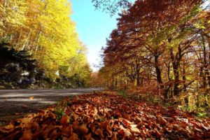 Colori Autunno Parco Nazionale d'Abruzzo