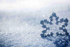 Neve - Parco Nazionale d'Abruzzo