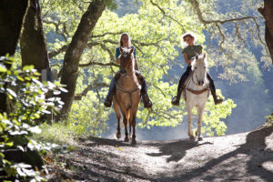 Passeggiate ed escursioni a cavallo nel Parco Nazionale d'Abruzzo