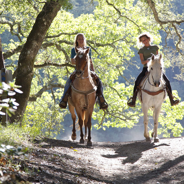 Passeggiate ed escursioni a cavallo nel Parco Nazionale d'Abruzzo