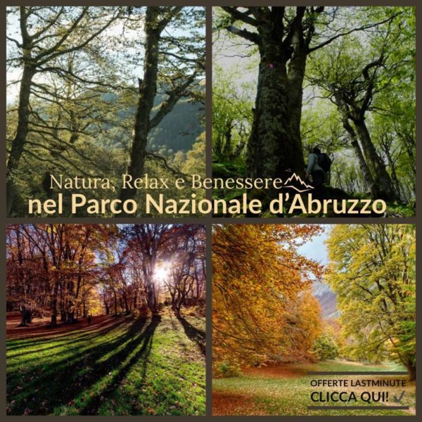 Parco Nazionale d'Abruzzo - Scopri le Offerte
